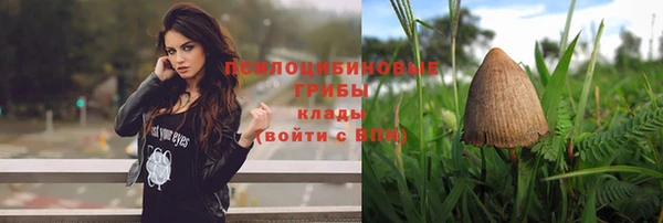 стаф Бугульма